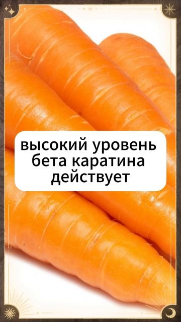 5 причин есть морковь #долголетие #здоровье #здоровьеидолголетие смотреть онлайн