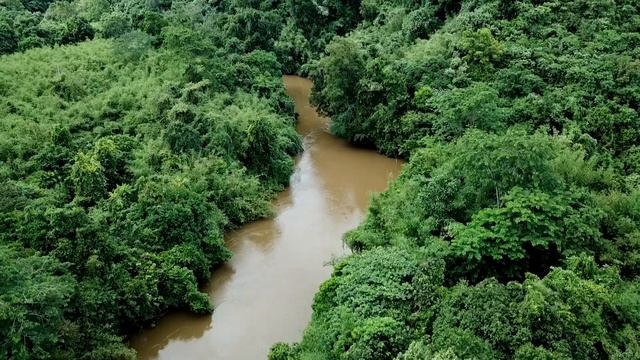 Gunung Mulu смотреть онлайн