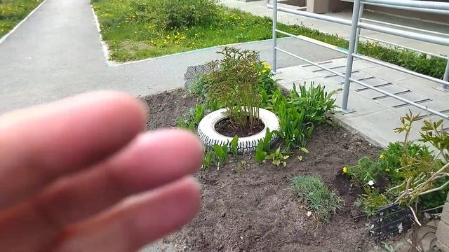 Перестановка в спальне.... смотреть онлайн