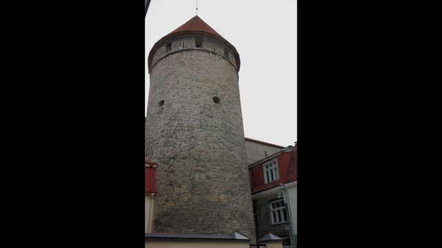 Таллинн Вечерняя прогулка фото часть 23