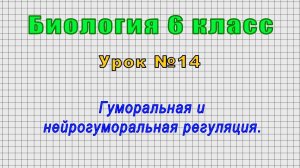 Биология 6 класс (Урок№14 - Гуморальная и нейрогуморальная регуляция.)