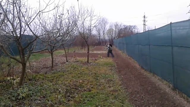 Передзимовий посів фацелії на нуклеуснім точку смотреть онлайн