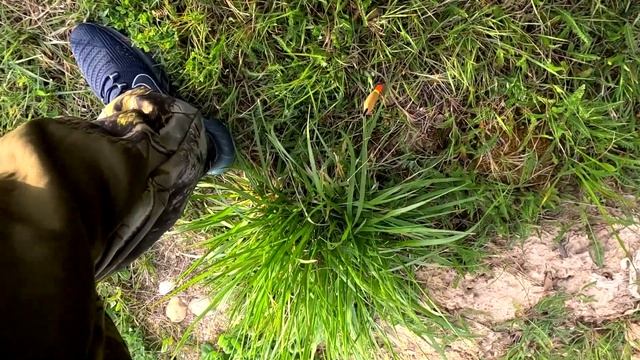 Рыбалка на карпа смотреть онлайн