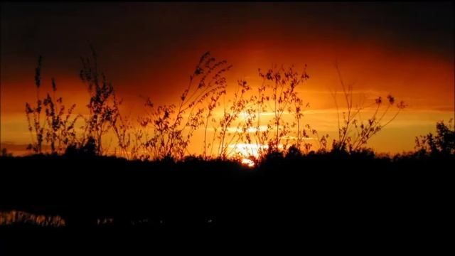 Иеромонах Роман. «Если б я не познал тайну Богообщения…» смотреть онлайн