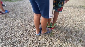 Квест Игра в кальмара