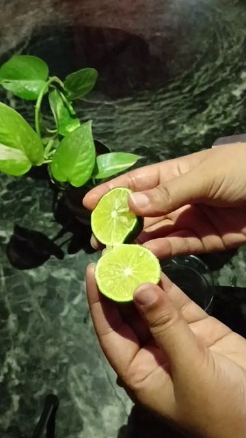 5 min m banaen nimbu ka sharbat 🍋| summer drink 🍷#short #viral смотреть онлайн
