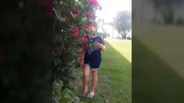 Мой отдых в Турции Кемере в Sherwood смотреть онлайн