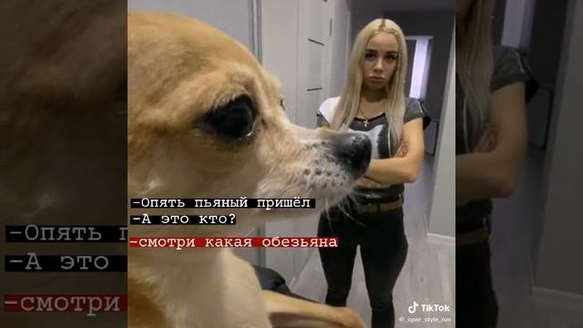 Download - 2025-02-18T014451.684 смотреть онлайн