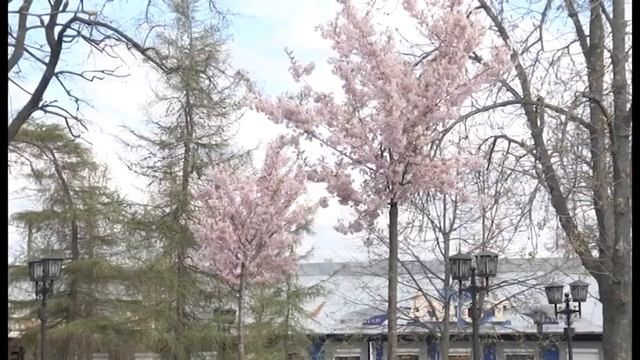 Ботанічний сад у центрі Прилук смотреть онлайн