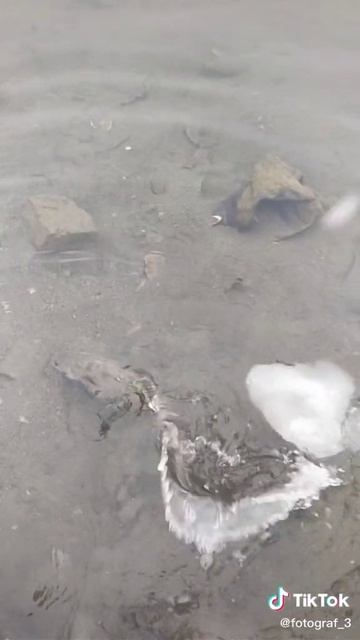 Download - 2025-02-18T012813.762 смотреть онлайн