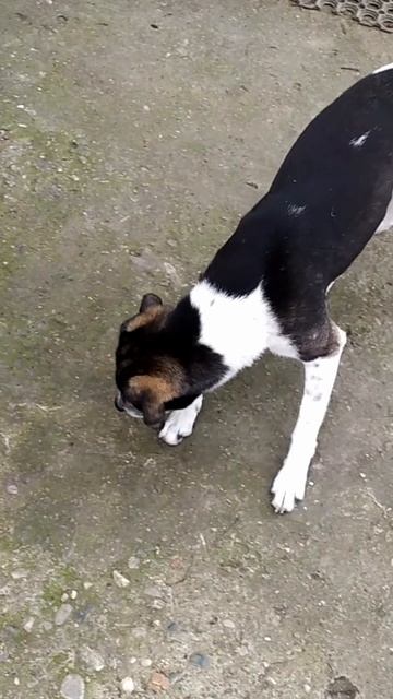 Неуловимый лазер смотреть онлайн