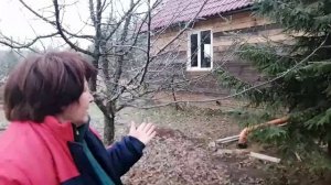 Отзыв о нашей компании от Галины Калашниковой. СНТ Колюшево