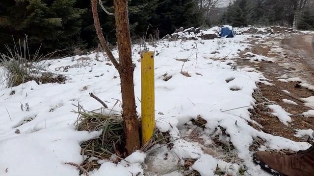 Vladimir Petruț: „Io am tras gaz și-n pădure, nu știu cum alții nu pot...” смотреть онлайн