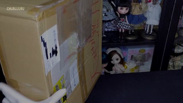 Pullip Doll Opening!! Seamail from Japan | Doll Collector смотреть онлайн