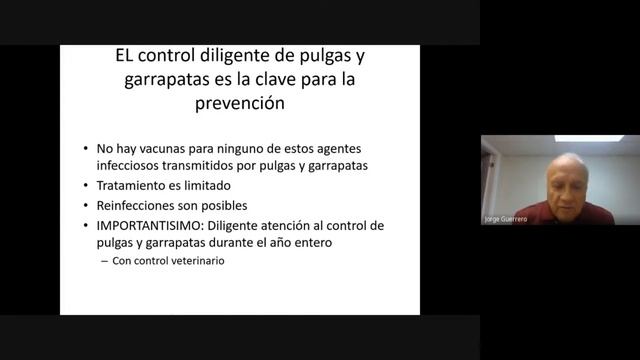 ENFERMEDADES TRANSMITIDAS POR VECTORES EN CANINOS Y FELINOS: MEJOR PREVENIR QUE CURAR смотреть онлайн