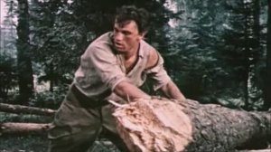 Андрей МИСИН "Гати"