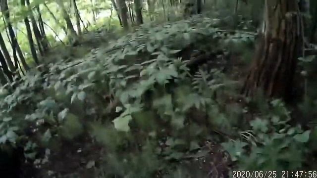 18+За Щукой под Тополя смотреть онлайн