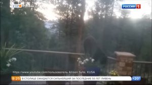 Елена Ландер Утро России  Эфир от 30.06.2017