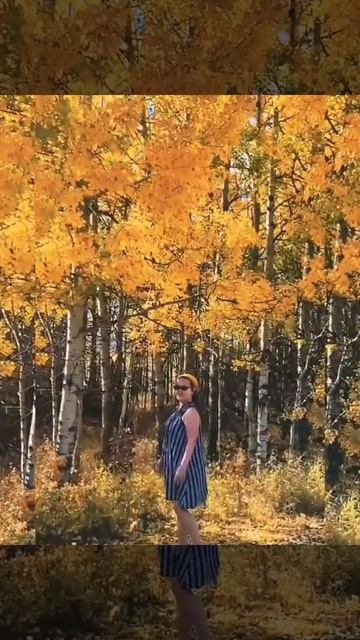 #FallinCanada - 2021 MallowsU&I - 026 смотреть онлайн