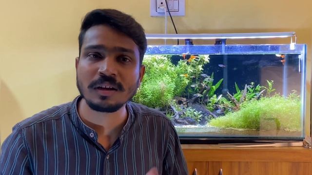 Top 10 Low Tech Aquarium Plants | 2nd Part | Non CO2 Aquarium For Beginner || смотреть онлайн