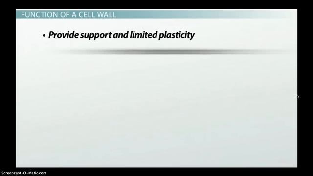 Plant Cell Wall: Function, Structure & Composition смотреть онлайн