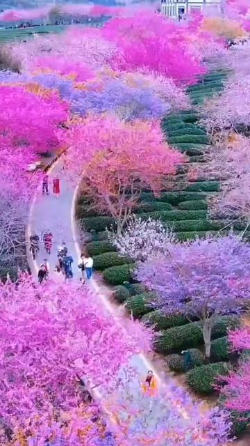 black skin ❤️ WhatsApp status смотреть онлайн