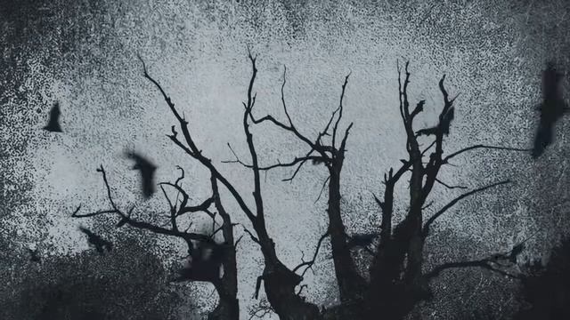 PlayaPhonk - Phonky Town (Haunted Visualizer) смотреть онлайн