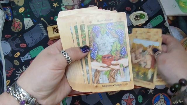 обзор кельтского оракула голоса деревьев смотреть онлайн