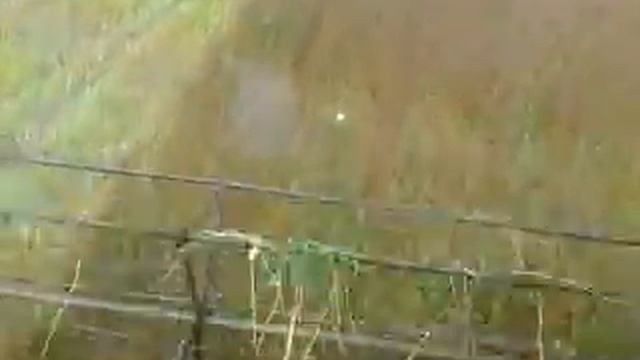 Нива СК-5М1.Гречиха..MP4 смотреть онлайн