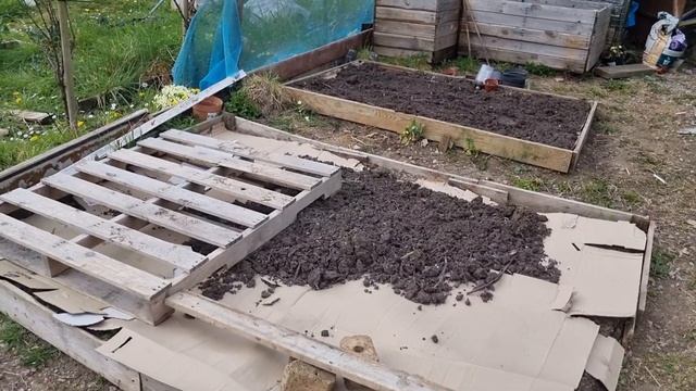 First Allotment /Sowing Strawberries / No Dig / March Spring 2022 смотреть онлайн