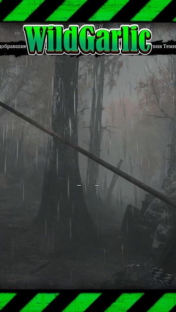 ЛУК Имба! BOW Hunt Showdown shorts #huntshowdown #hunt #хант #лук #shorts #соло #shorts #short смотреть онлайн