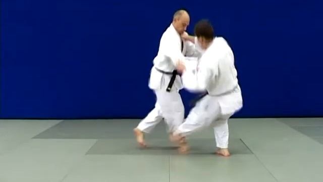 Квалификационные требования в Дзюдо для аттестации на коричневый пояс ( 1-й кю )