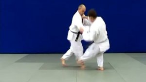 Квалификационные требования в Дзюдо для аттестации на коричневый пояс ( 1-й кю )