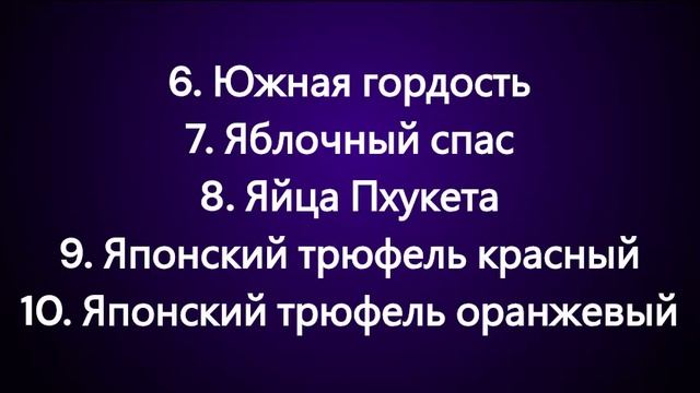 Томаты с хорошим иммунитетом. Наборы томатов. Часть 2. г. Киров смотреть онлайн