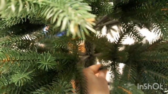 Купили ёлочку!) Коши-помощницы! смотреть онлайн