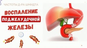 НОРМАЛИЗАЦИЯ РАБОТЫ ПОДЖЕЛУДОЧНОЙ ЖЕЛЕЗЫ*ИСЦЕЛЕНИЕ ЗВУКОМ*ЧАСТОТЫ Д-РА ШМИДТА