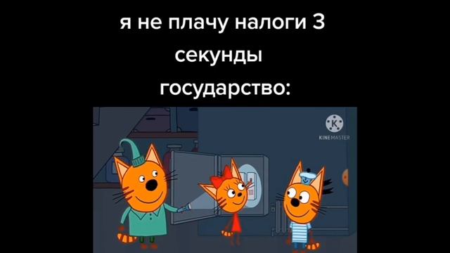 тик ток не стал миллионером | мемы тик ток | подборка мемов тик ток #16 смотреть онлайн