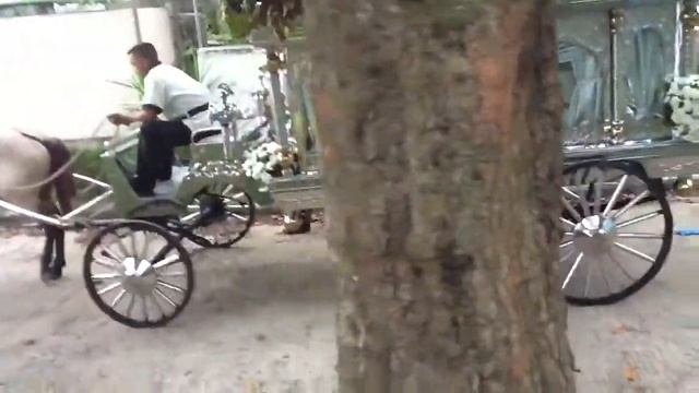 Nicolie Brion-Angeles Wake and Funeral 7 смотреть онлайн