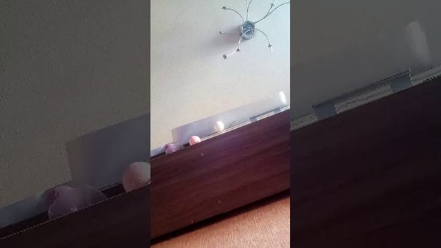 дарова смотреть онлайн