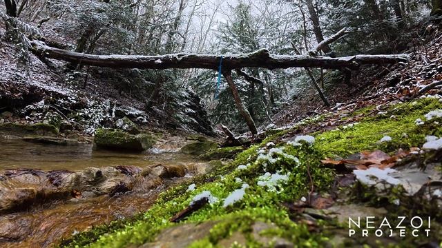 ✅ Прасковеевка, Зимняя река 1 час. Relax Video смотреть онлайн