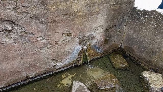 Прогулка в ЗИМУ. 16.02.25. смотреть онлайн