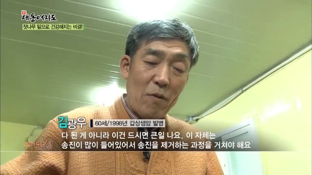 [기적의 건강 밥상] 잣나무 잎으로 갑상샘암을 극복하다!_채널A_신대동여지도 66회 смотреть онлайн