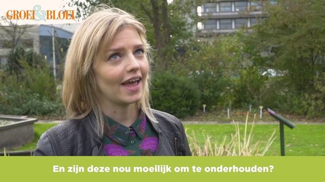 De mooiste siergrassen voor je tuin смотреть онлайн