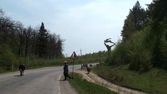 знаки смотреть онлайн