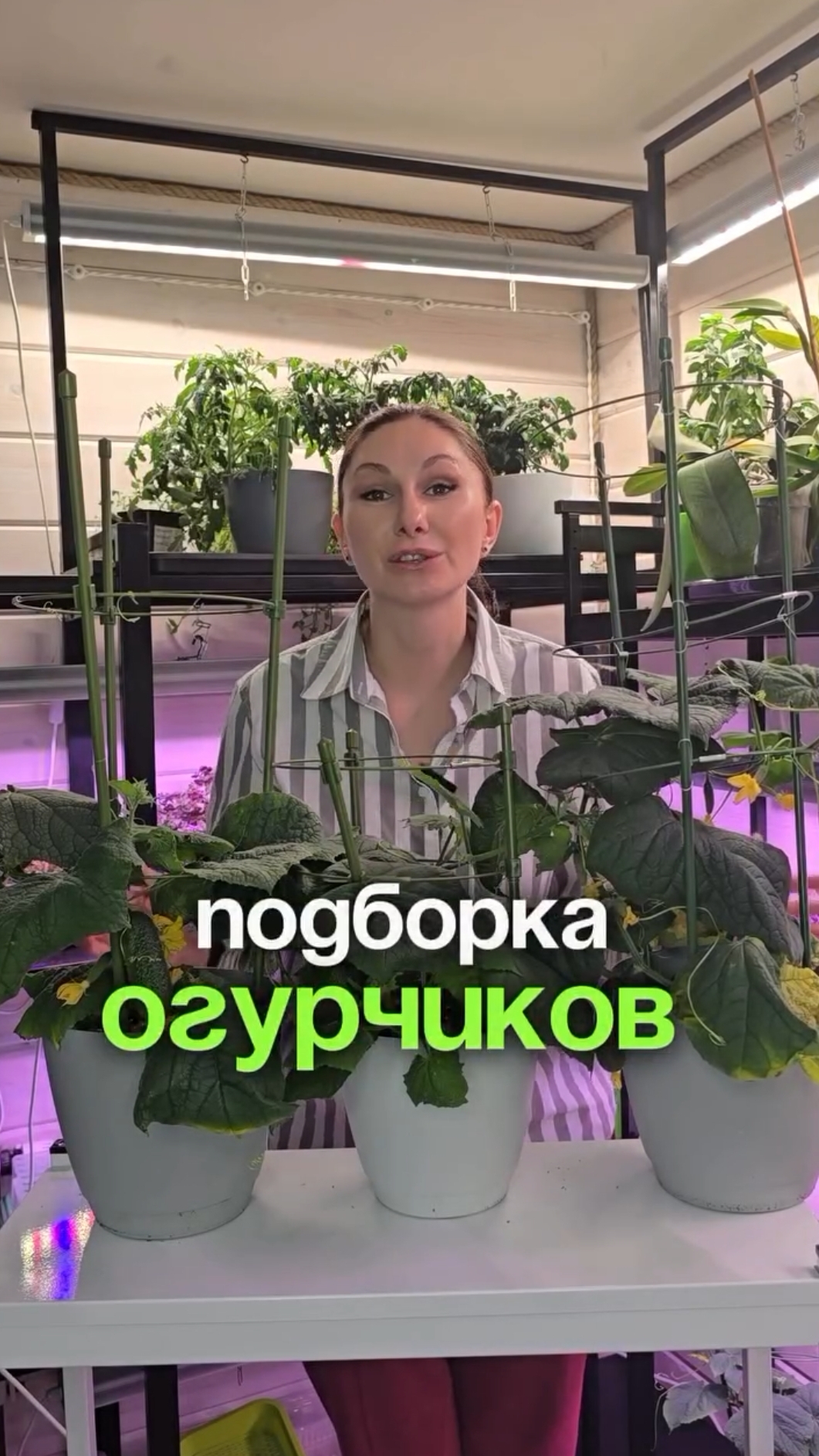 Сегодня у нас для вас подборка сочных, хрустящих огурчиков. смотреть онлайн