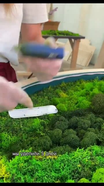 Картина из мха, вертикальное озеленение, природа в Вашем доме🍃 смотреть онлайн