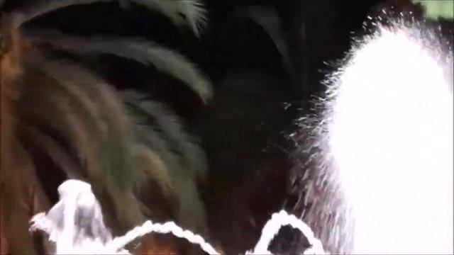 Eternal Summer SPANIEN VALENCIA. ПАРКИ И ЗОНЫ ОТДЫХА. ВАЛЕНСИЯ. ИСПАНИЯ смотреть онлайн