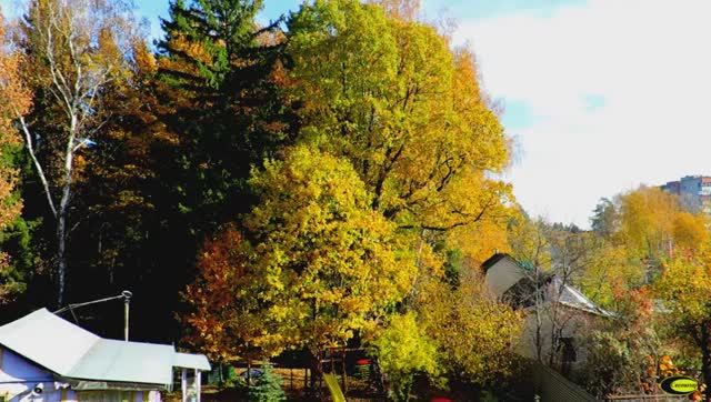 Наш Дуб смотреть онлайн