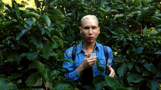 VLOG: Хахали смотреть онлайн