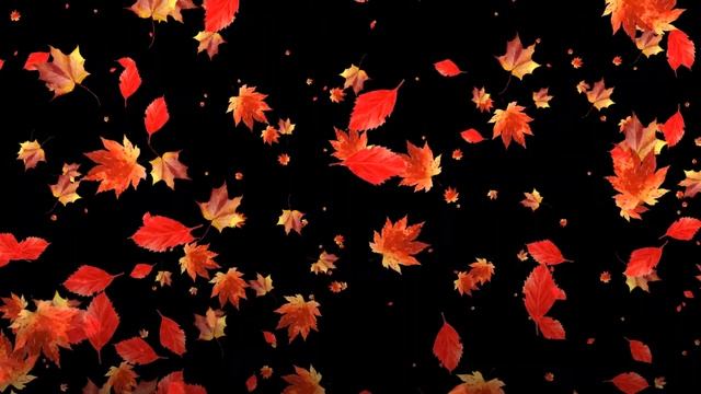 Футаж Падающие листья. смотреть онлайн